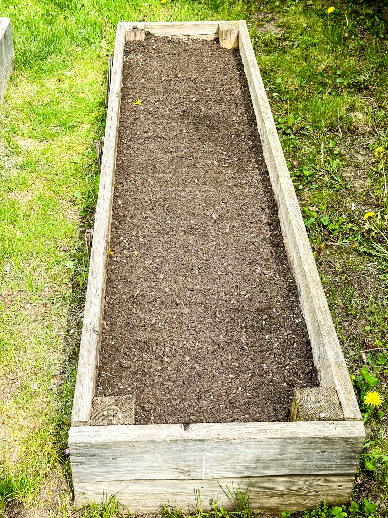 A long, wooden raised garden bed filled with fresh dark soil in a green Michigan backyard. A perfect blank canvas for a beginner vegetable garden or a vibrant floral cutting garden.