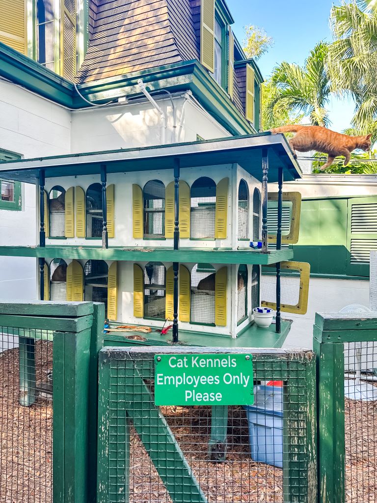The cat kennel on Ernest Hemingway's property. They have a controlled breeding program for decendents of his six-toed cat name Snow White.