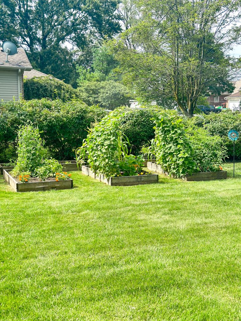 A well-maintained garden with raised beds filled with various vegetables and flowers. The garden features a trellis structure for climbing plants, a small pond, and a variety of garden tools and decorations. The garden is surrounded by a lush green lawn and mature trees.