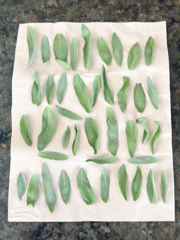 Sage leaves spread out in rows on a brown paper bag to air dry at home