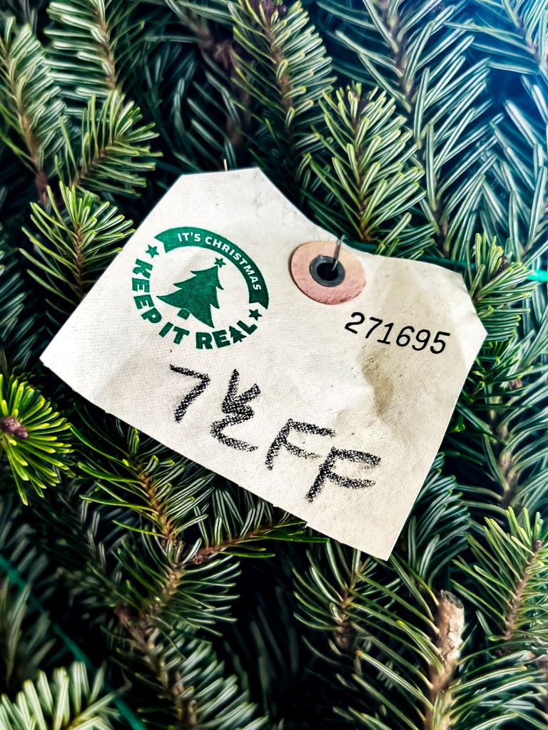 A Christmas tree tagged showing the height and kind of tree.