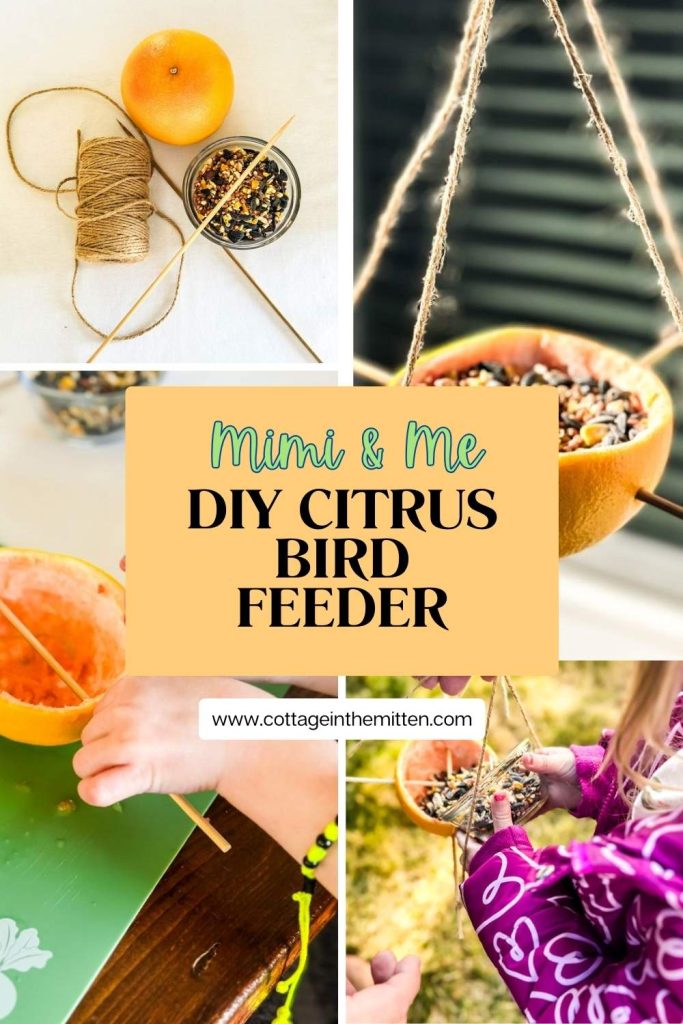A four picture graphic showing different stages of making a DIY citrus bird feeder.