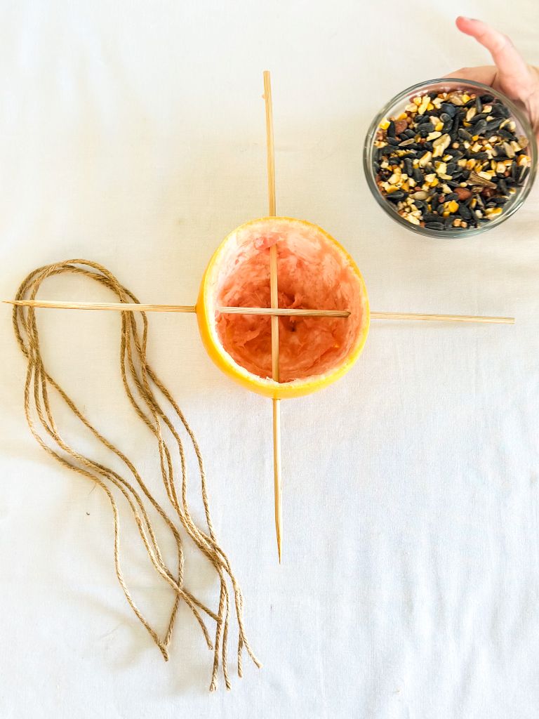 A hallowed out halved grapefruit with wooden skewers in it and a dish of birdseed on a white background. 