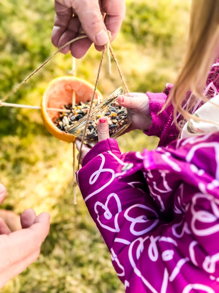 A close-up of a child in a purple heart-patterned jacket and an adult filling a homemade orange peel bird feeder with seeds, featuring a hanging design made with wooden skewers and natural twine.