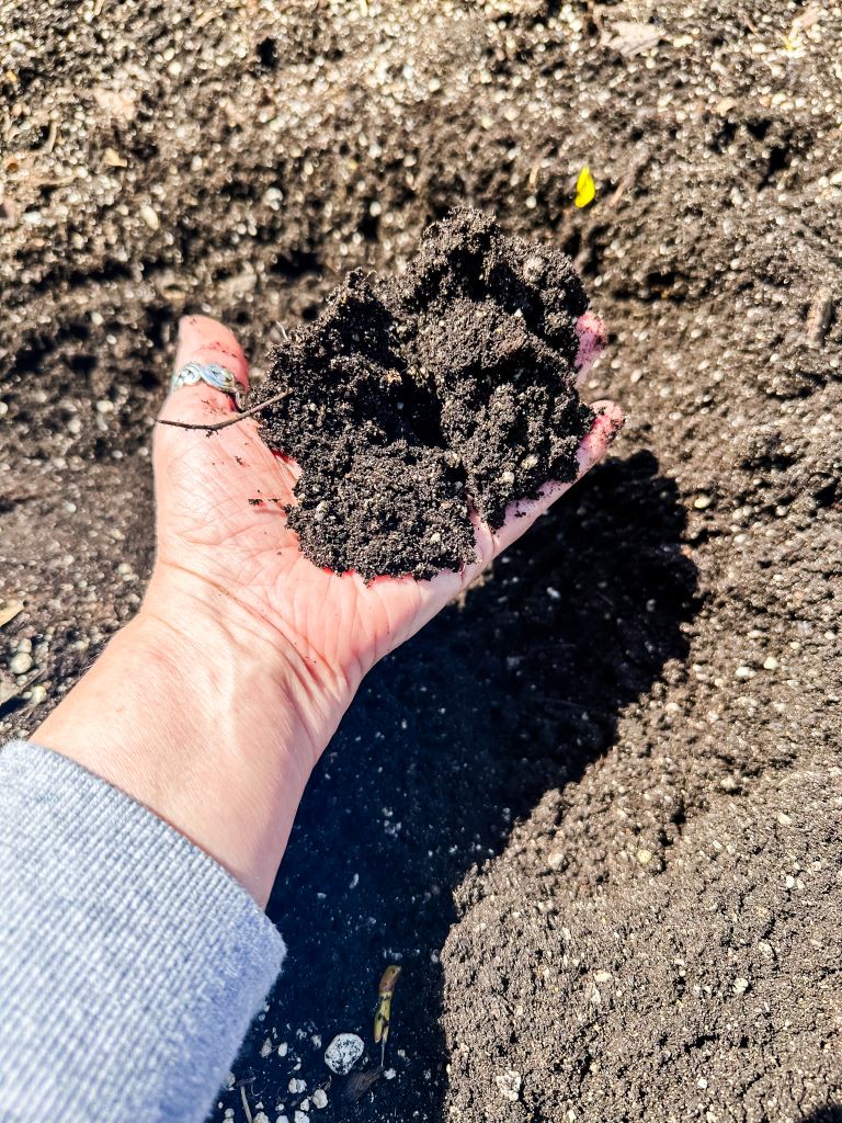 Cottage in the Mitten gardening: An image showing a hand holding freshly amended, nutrient-dense garden soil mix. The light shows a perfect balance of compost and peat moss for planting in Michigan.
