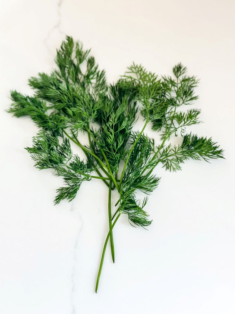 Freshly picked sprigs of dill laid out on a white countertop, ready to be used in a homemade recipe.