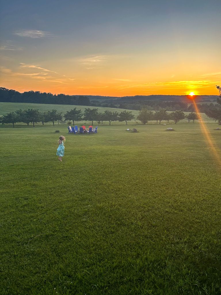 A little girl dancing on grass in a cherry field during sunset. 