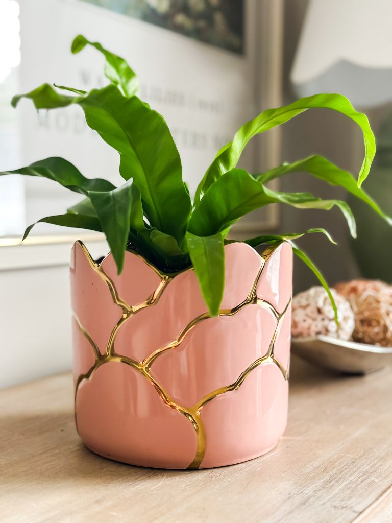 Bright green fern in a glossy pink ceramic planter with gold detailing, displayed on a wooden surface next to a decorative bowl with colorful wicker rattan balls.