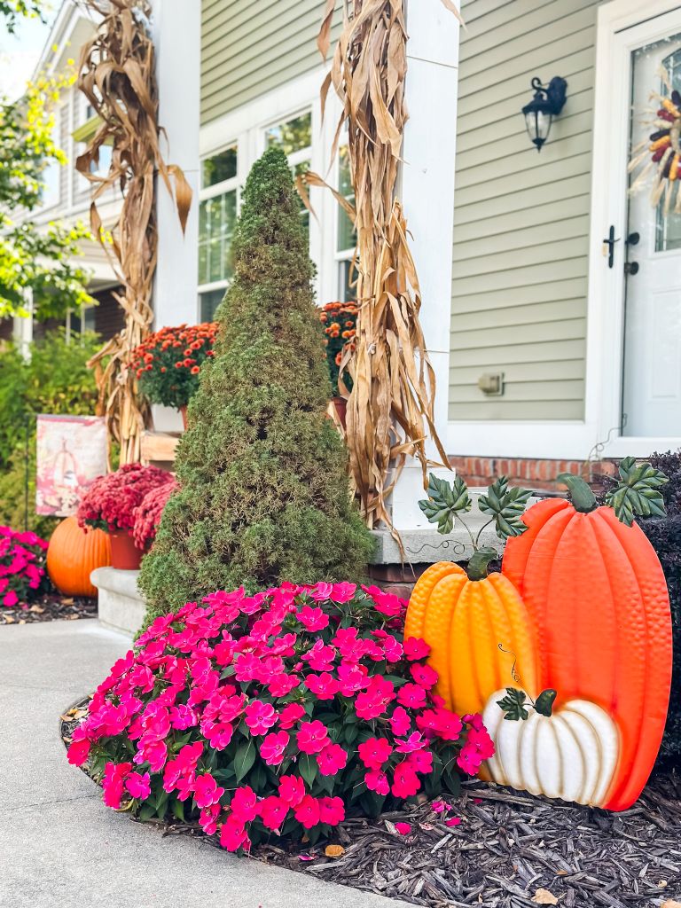 Full view of a decorated fall porch with cornstalks, bright pink impatiens, evergreen shrubs, orange and yellow pumpkins, and container mums.