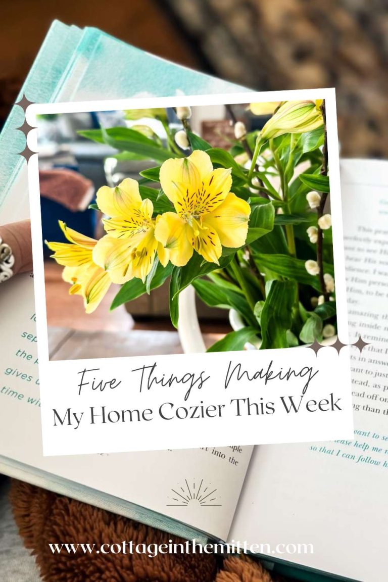 Five Things Making My Cottage Home Cozier This Week