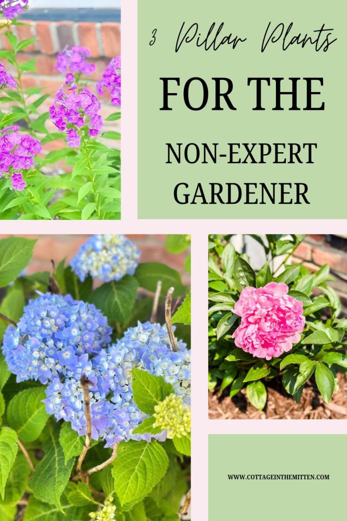 Pinterest Pin graphic titled '3 Pillar Plants for the Non-Expert Gardener' featuring a collage of purple phlox, blue hydrangeas, and a pink peony. A guide to low-maintenance perennials for a Michigan cottage garden by Cottage in the Mitten.