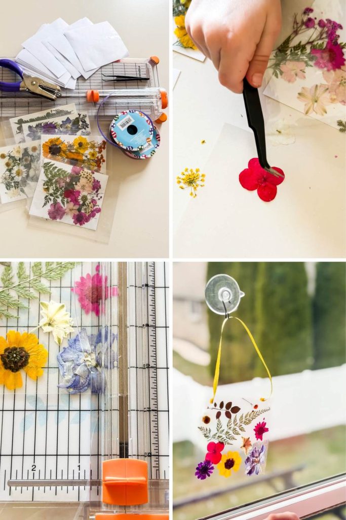 A four-image collage showing the steps to make DIY pressed flower suncatchers: gathering supplies like a paper trimmer and ribbon, arranging petals with tweezers, and hanging the final craft in a bright window.