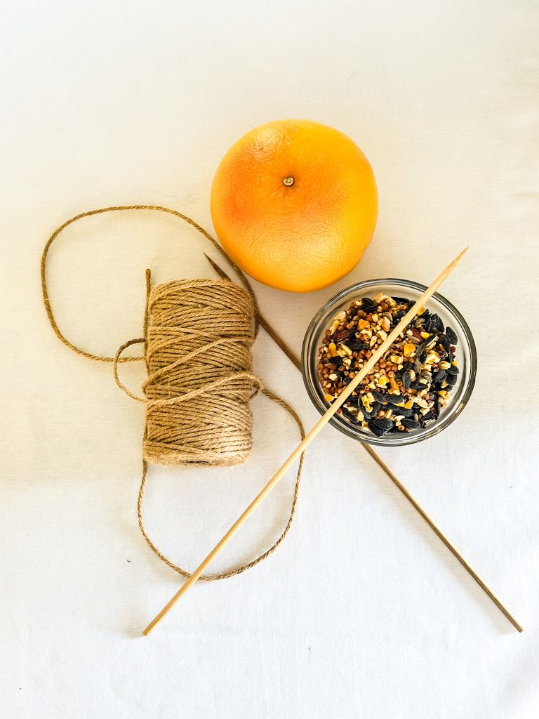 A flat lay of DIY citrus bird feeder supplies on a white background, including a whole fresh grapefruit, a spool of natural jute twine, two long wooden skewers, and a small glass bowl filled with birdseed mix.