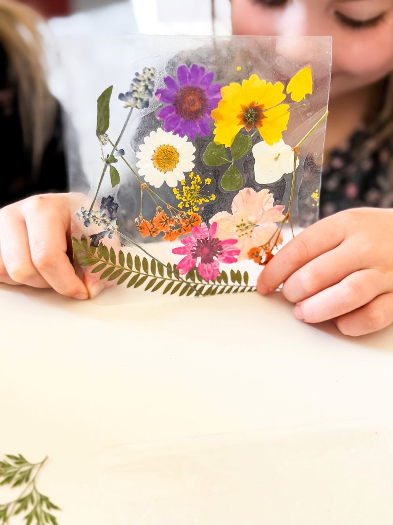A child’s hands carefully holding a finished square of colorful pressed flowers, including purple zinnias, yellow cosmos, white daisies, and pink blossoms, sealed between two transparent sheets as a completed DIY suncatcher.