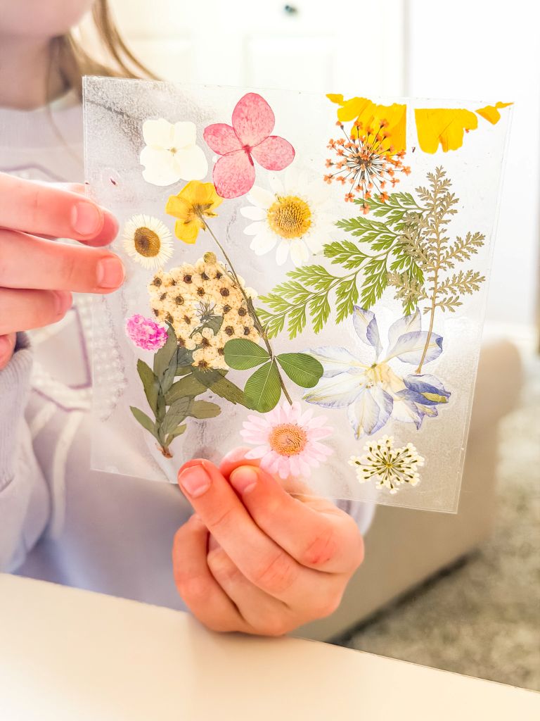 A child holding a pressed flower suncatcher made with colorful dried flowers and greenery on a clear background.