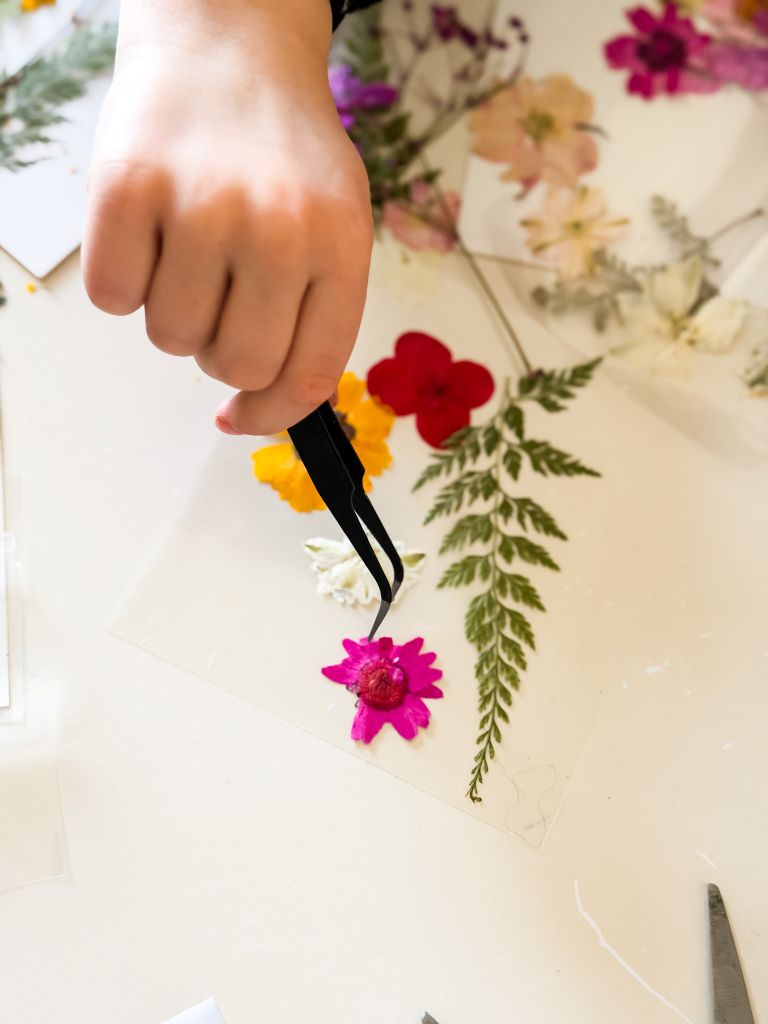 A close-up shot of a child's hand using black crafting tweezers to carefully place a bright pink pressed flower onto a clear sheet, surrounded by ferns and other colorful pressed blooms for a DIY suncatcher.