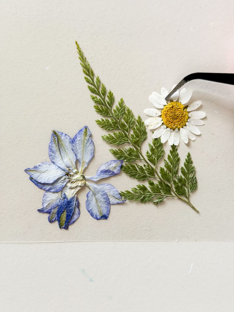 A close-up, top-down view of black crafting tweezers carefully positioning a pressed white daisy with a yellow center onto a transparent adhesive sheet, next to a detailed pressed green fern and a striking purple-blue delphinium flower for a DIY suncatcher project.