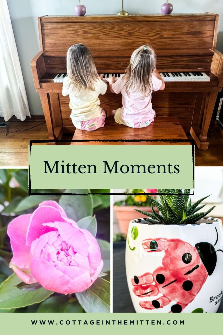 Mitten Moments