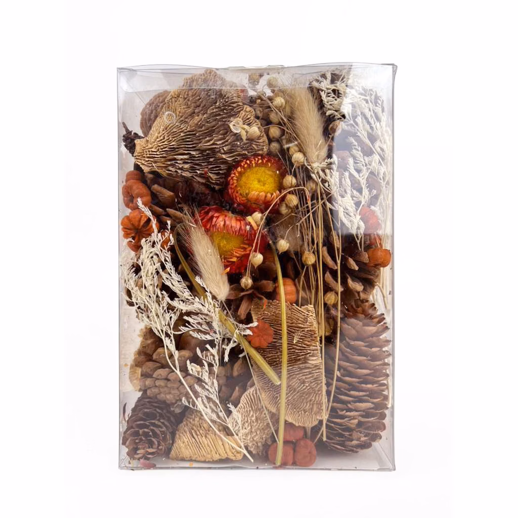 Natural autumn potpourri mix with pinecones, dried flowers, and mini pumpkins in a clear box.