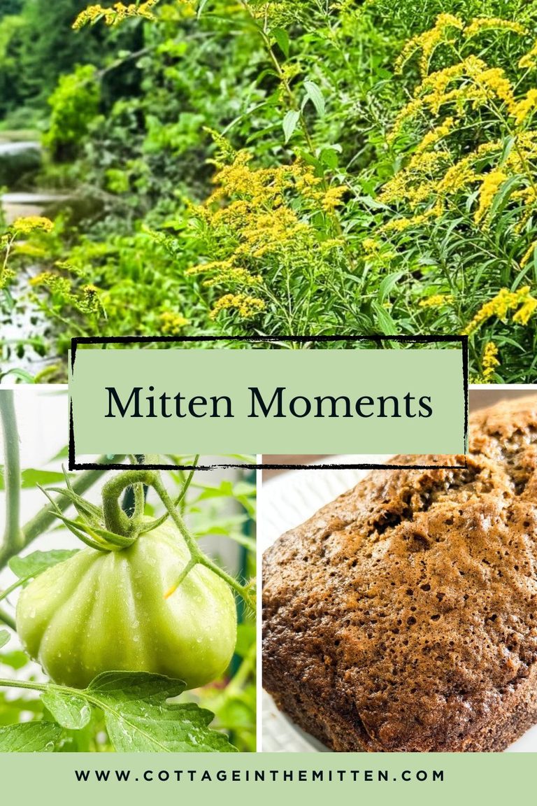 Mitten Moments