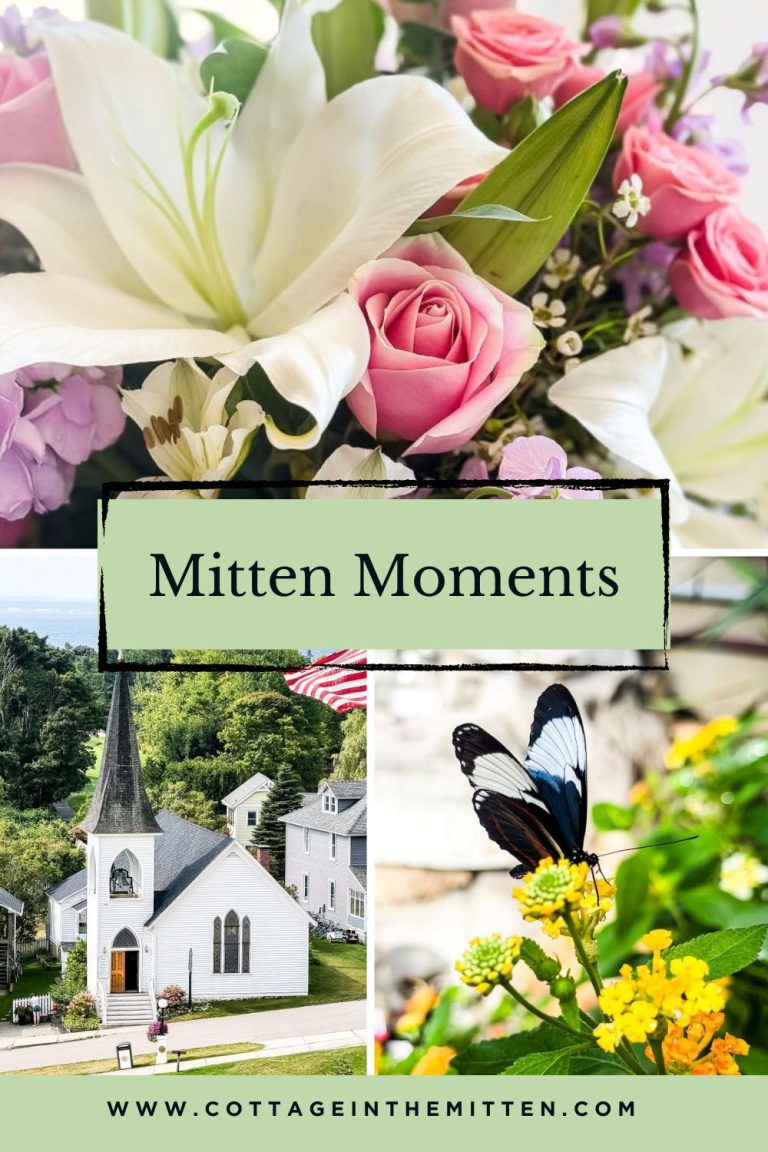 Mitten Moments