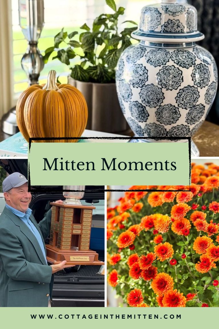 Mitten Moments