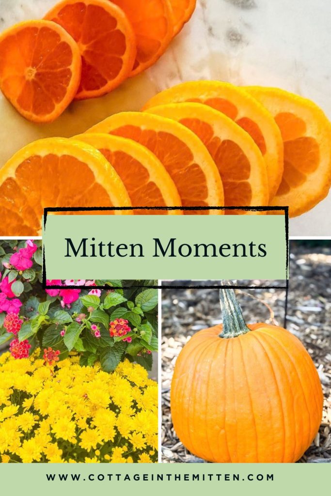 Pinterest pin graphic titled Mitten Moments from cottageinthemitten.com featuring a collage of sliced oranges, vibrant yellow fall mums with bright pink flowers, and a whole orange pumpkin.